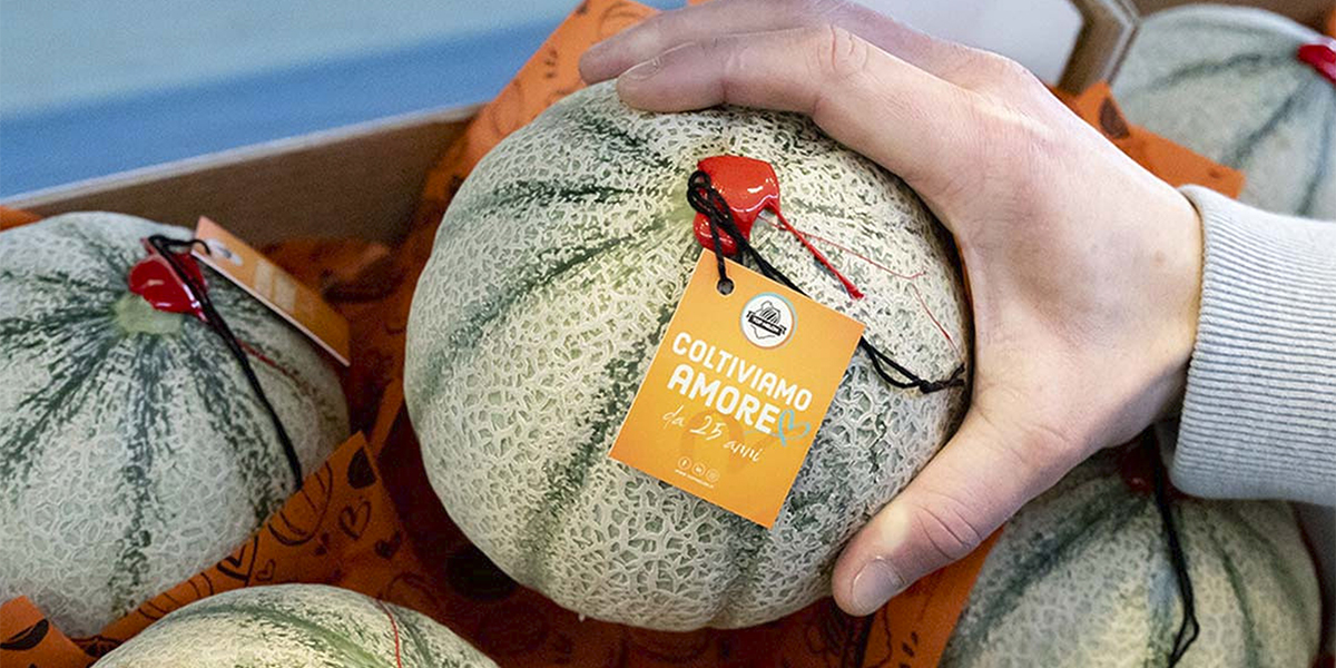 Lavoro in ortofrutta, serve un cambio di paradigma